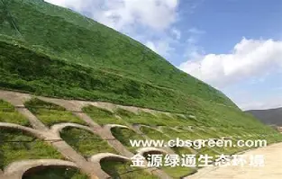关于从Ming在G2比赛中挺进下一轮到里尔冲刺阶段伤情更新，奥兰多魔术围绕中超队长鼓劲的信息